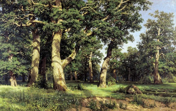Oak Grove by Ivan Shishkin